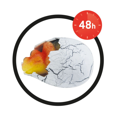 Buki Magiczne jajko dinozaura + figurka D6G