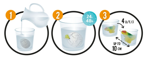 Buki Magiczne jajko dinozaura + figurka D6G