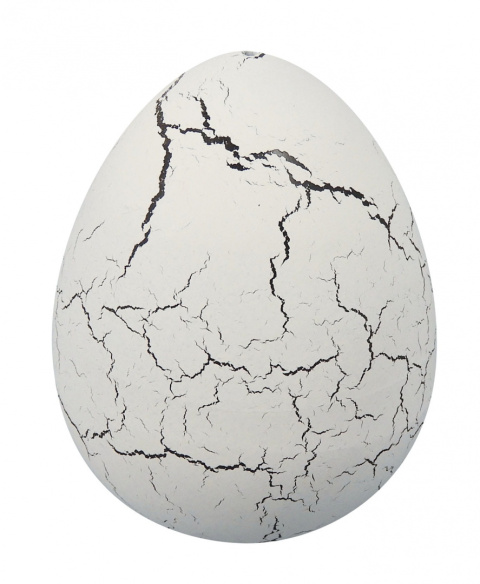 Buki Magiczne jajko dinozaura + figurka D6G