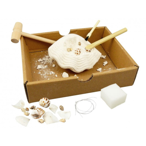 Buki Mały archeolog - MUSZELKI