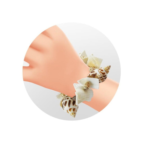 Buki Mały archeolog - MUSZELKI