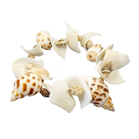 Buki Mały archeolog - MUSZELKI