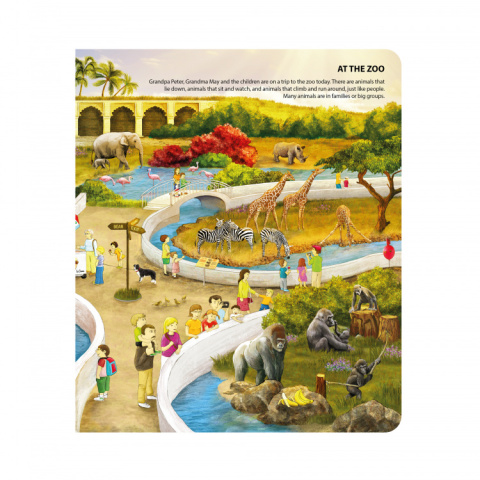 Albik Książka Język angielski