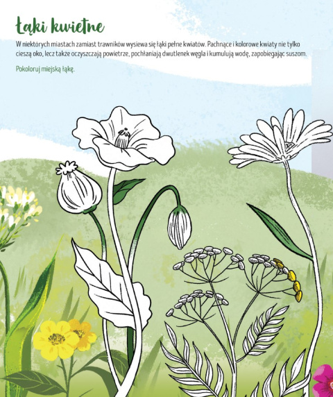 W zgodzie z naturą. Dbam o przyrodę Zielona Sowa