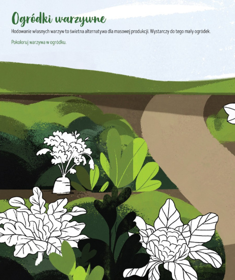 W zgodzie z naturą. Dbam o przyrodę Zielona Sowa