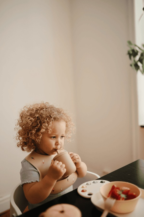 Mushie Śliniak Silikonowy z kieszonką Rocket