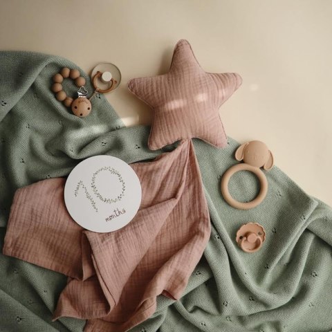 Mushie Silikonowy Gryzak Piesek