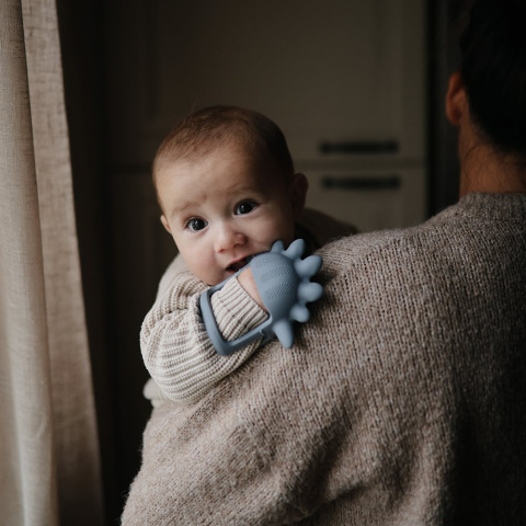 Mushie Silikonowy gryzak sensoryczny No-Drop Dino