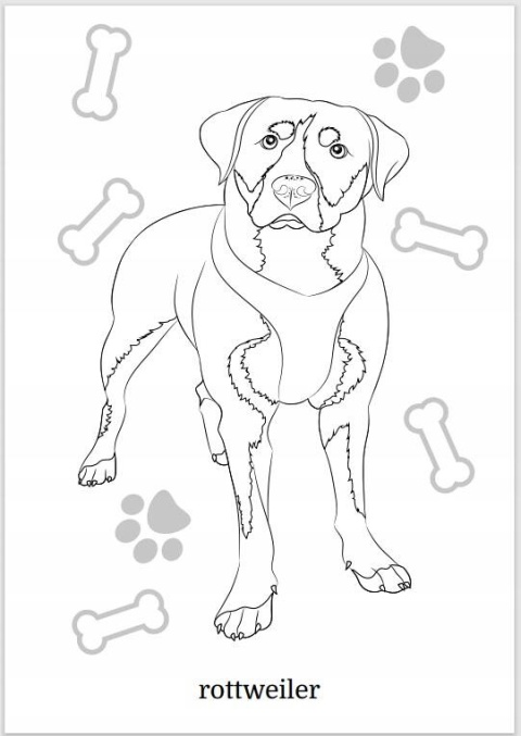 Kolorowanka Maluszkowe malowanie. Psy rasowe