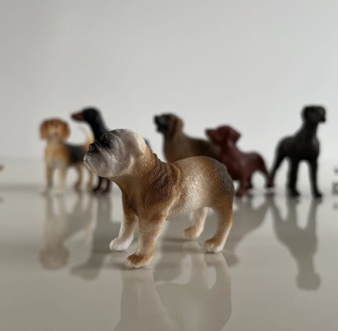 Safari Ltd Figurki Psy 11 szt - Zestaw Figurek w Tubie