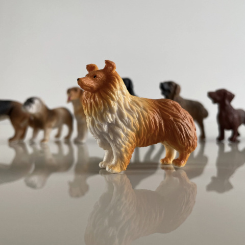 Safari Ltd Figurki Psy 11 szt - Zestaw Figurek w Tubie