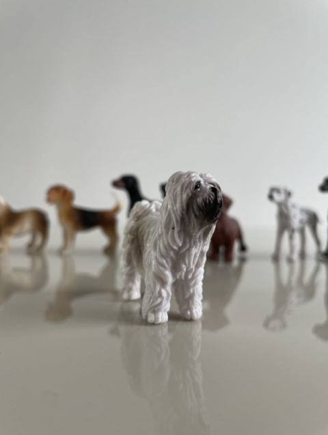 Safari Ltd Figurki Psy 11 szt - Zestaw Figurek w Tubie