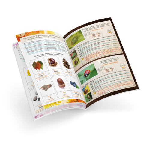 BUKI Terrarium BL034