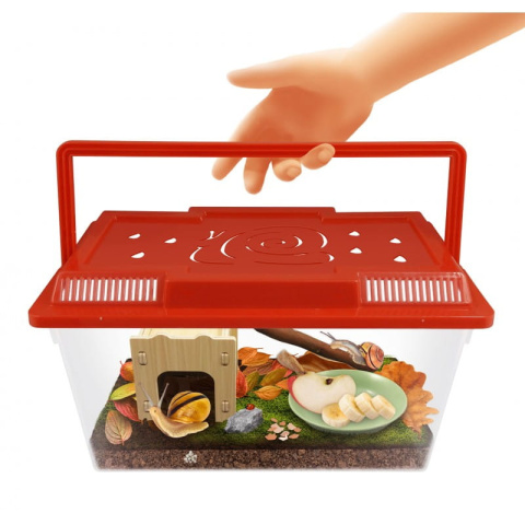 Buki Domek dla ślimaków