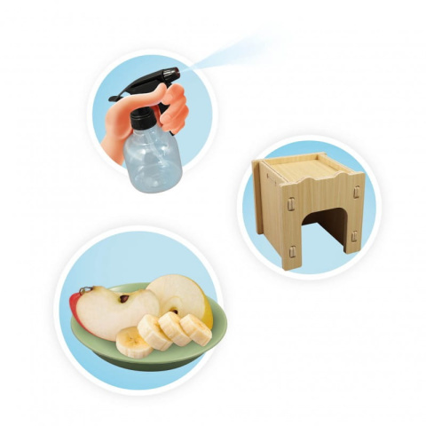 Buki Domek dla ślimaków