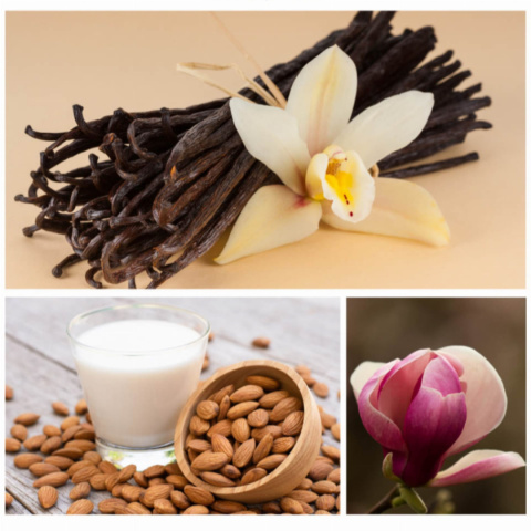 DRESDNER ESSENZ NIE, NIE DZISIAJ! - pianka do kąpieli 60g - DEins