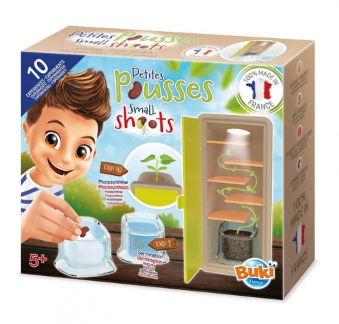 Buki Mała szklarnia - obserwacja wzrostu roślinki