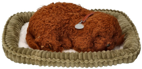 Perfect Petzzz Śpiący szczeniaczek piesek Pudelek