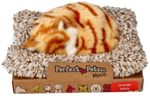 Perfect Petzzz Kotek pręgowany rudy na legowisku