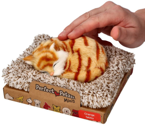 Perfect Petzzz Kotek pręgowany rudy na legowisku