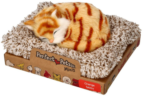 Perfect Petzzz Kotek pręgowany rudy na legowisku