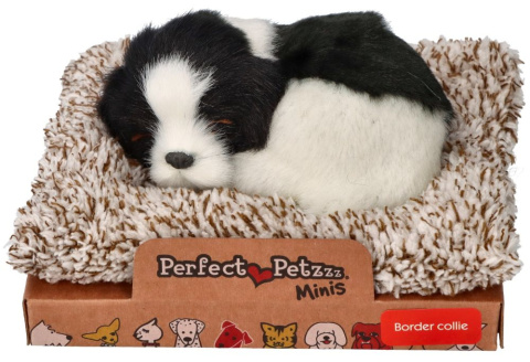 Perfect Petzzz Szczeniaczek piesek Border Collie 13 cm mały