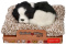 Perfect Petzzz Szczeniaczek piesek Border Collie 13 cm mały