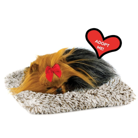 Perfect Petzzz Szczeniaczek piesek York na legowisku mały