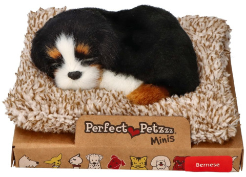 Perfect Petzzz Szczeniaczek piesek Berneļczyk na legowisku