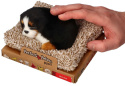 Perfect Petzzz Szczeniaczek piesek Berneļczyk na legowisku