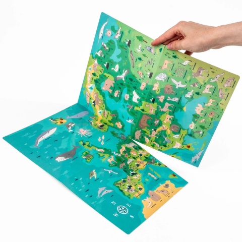 Kidea Wyklejanka gra - Gdzie oni żyją? | Zwierzęta Europy