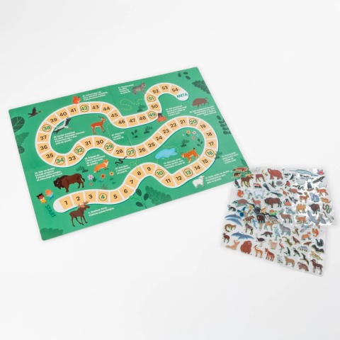 Kidea Wyklejanka gra - Gdzie oni żyją? | Zwierzęta Europy