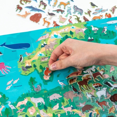 Kidea Wyklejanka gra - Gdzie oni żyją? | Zwierzęta Europy