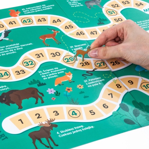 Kidea Wyklejanka gra - Gdzie oni żyją? | Zwierzęta Europy