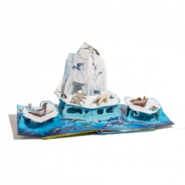 Niezwykłe zwierzęta. POP-UP XXL