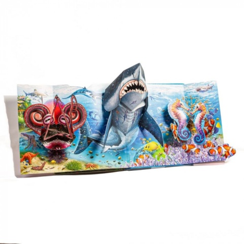 Niezwykłe zwierzęta. POP-UP XXL