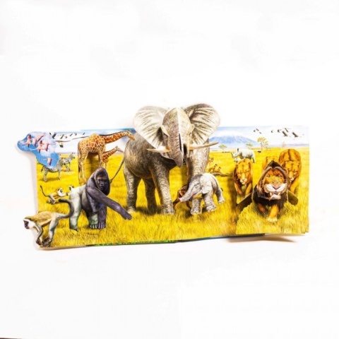 Niezwykłe zwierzęta. POP-UP XXL