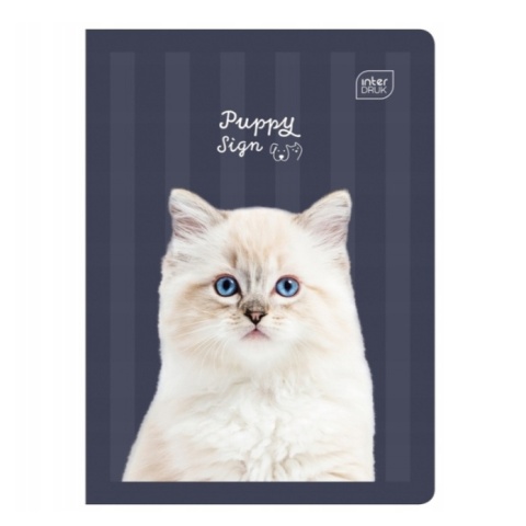 Zeszyt 1szt A5/16 kartki Trzy linie | Puppy Sign