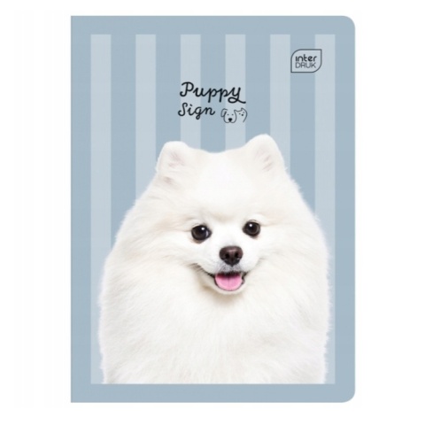 Zeszyt 1szt A5/16 kartki Trzy linie | Puppy Sign