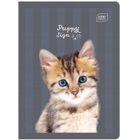 Zeszyt 1szt A5/32 kartki Trzy linie | UV Puppy Sign