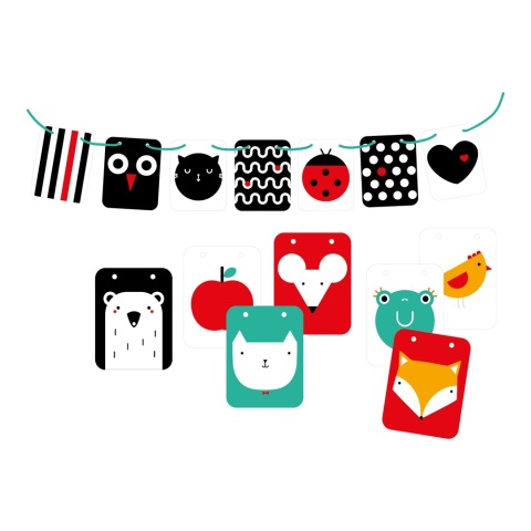 Czuczu Starter malucha. Co widzę?