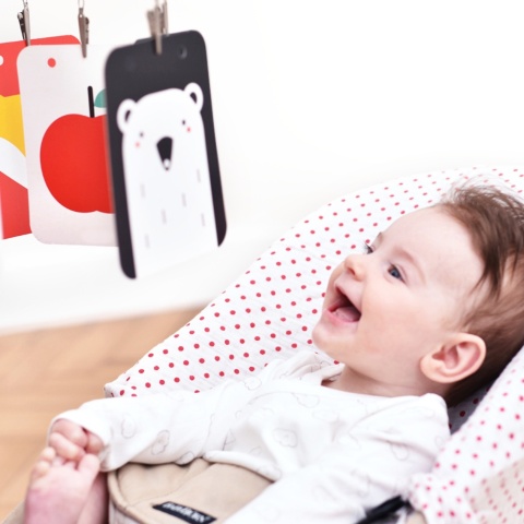 Czuczu Starter malucha. Co widzę?