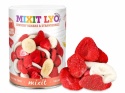 Mixit Crunchy Fruits | Banana and Strawberry (80g)