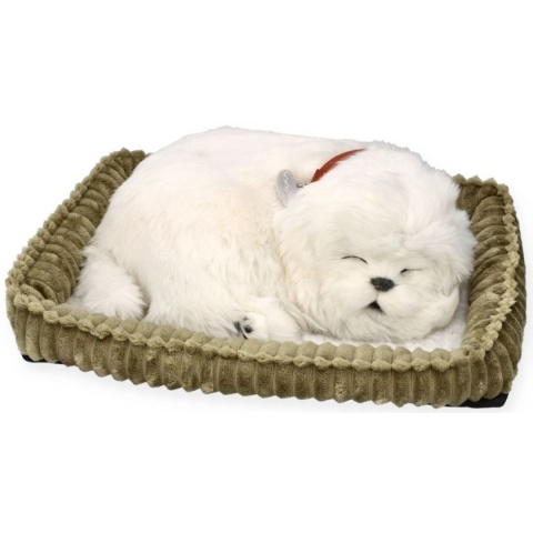 Perfect Petzzz Oddychający szczeniaczek | Maltańczyk