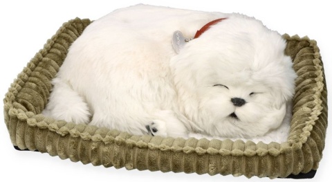 Perfect Petzzz Oddychający szczeniaczek | Maltańczyk