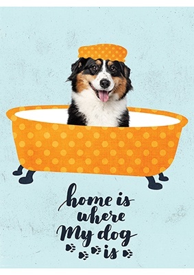 St. Majewski Zeszyt A5 Funny Dog kratka, 70g 60 kartek 1szt