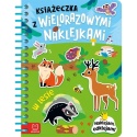 Książeczka z wielorazowymi naklejkami. Naklejam, odklejam! | W lesie.