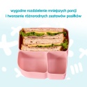 b.box Silikonowy wkład do lunchboxa z dodatkowymi przegródkami | Berry