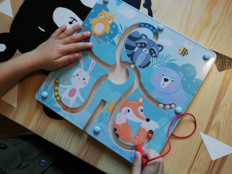 Adam Toys Labirynt magnetyczny Las