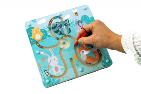 Adam Toys Labirynt magnetyczny Las